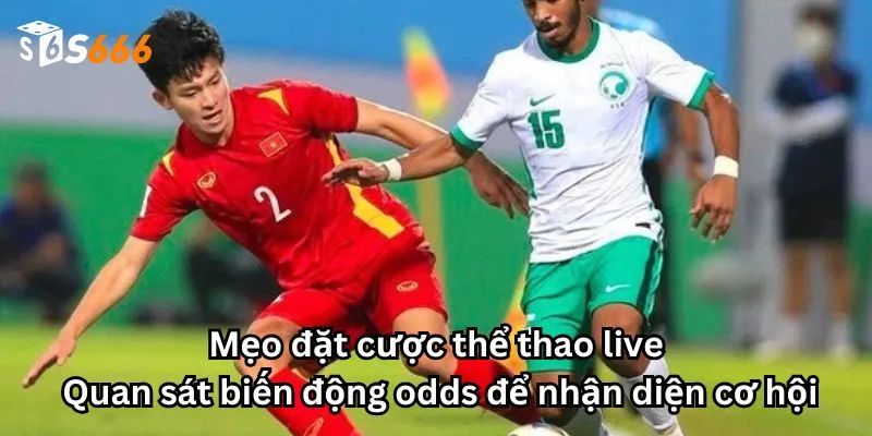 Mẹo đặt cược thể thao live: Quan sát biến động odds để nhận diện cơ hội